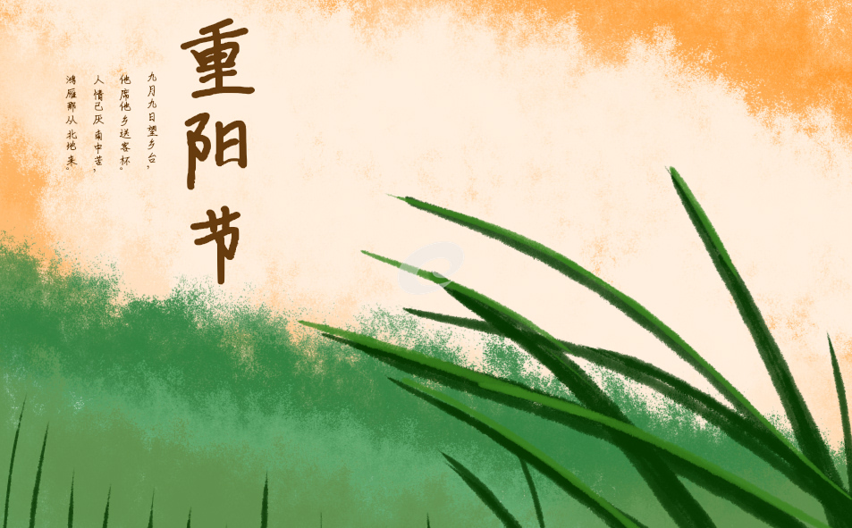难忘重阳行方案